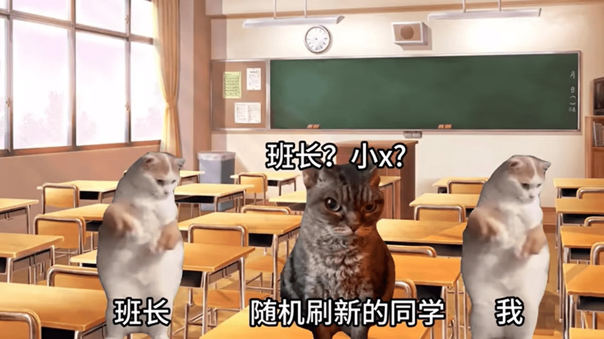 恐怖猫猫惊魂