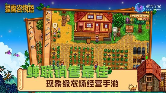 stardew valley